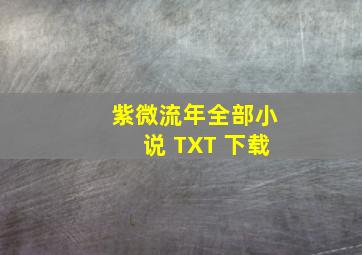 紫微流年全部小说 TXT 下载